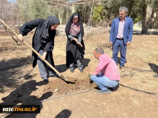 برگزاری آئین درختکاری در آموزشکده فنی امام علی (ع) یزد 2